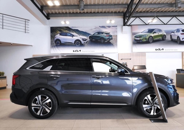 Kia Sorento cena 240900 przebieg: 13, rok produkcji 2023 z Tuchów małe 79